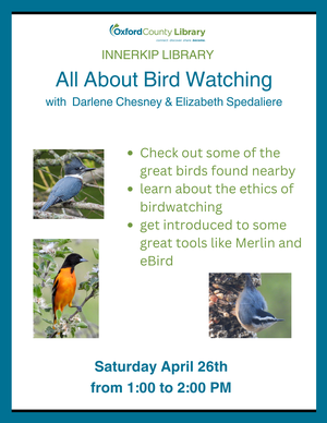 INN - All About Bird